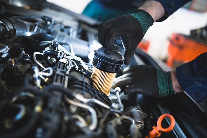 Oil & Filter Change Special